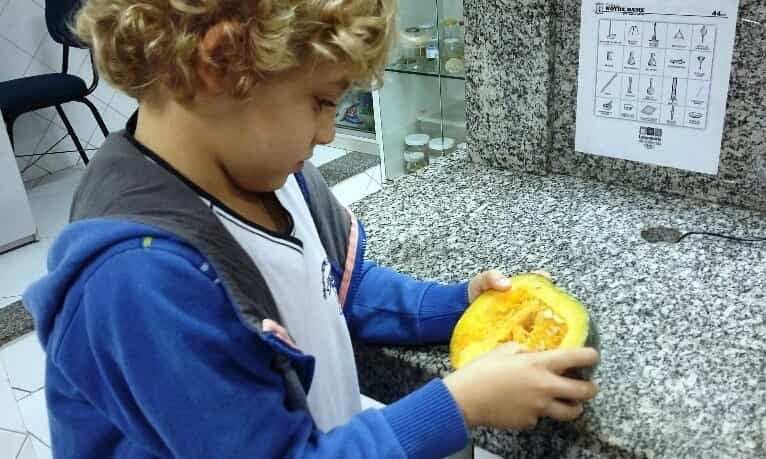 Conhecendo a germinação de sementes