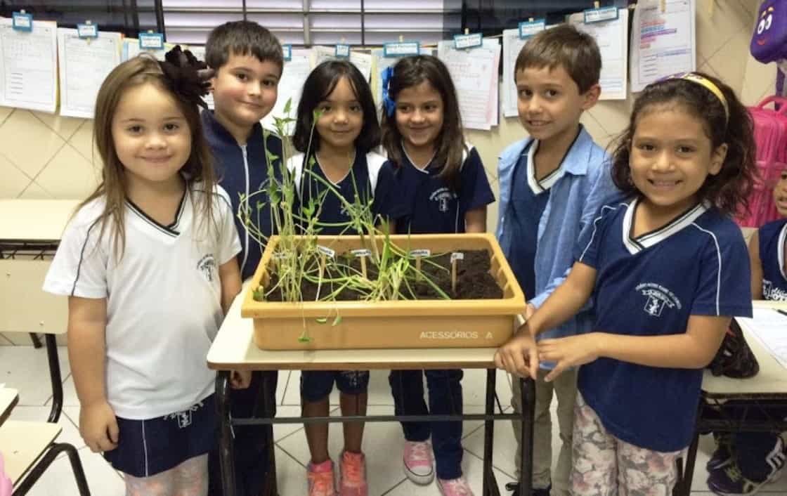 Aprendendo sobre germinação