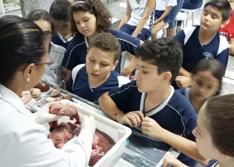 O corpo humano