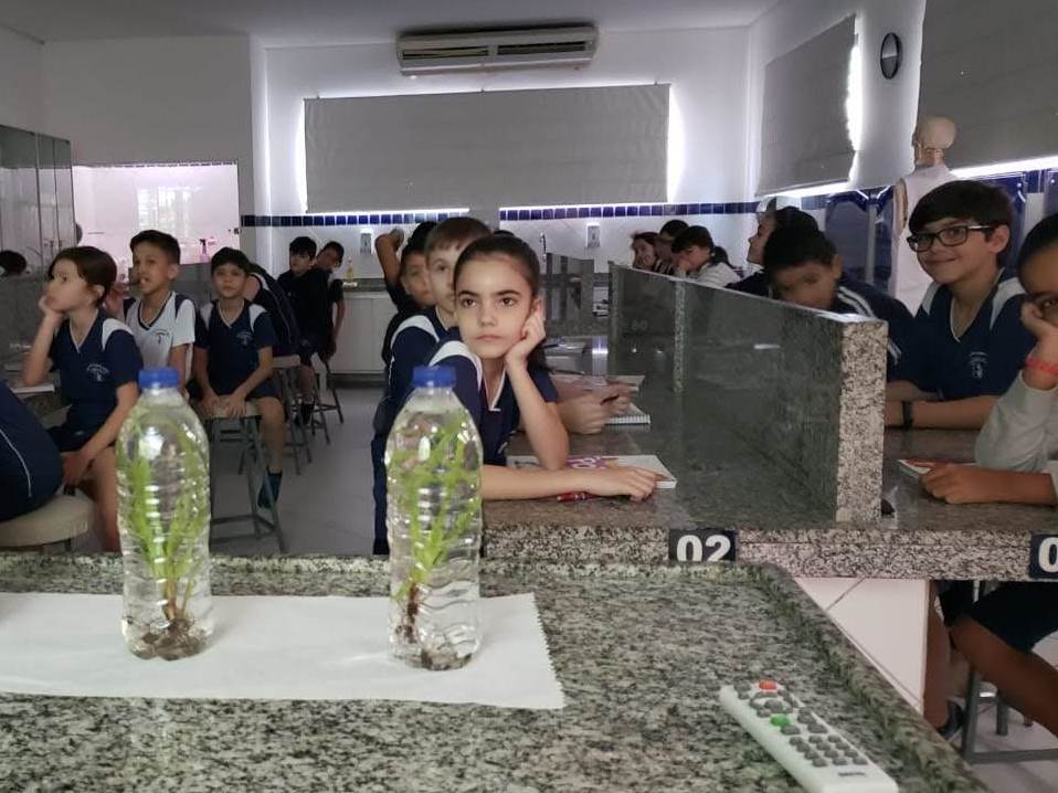 Observando a Fotossíntese no Laboratório de Ciências