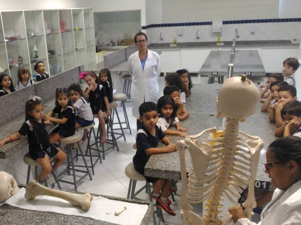 Alunos da Educação Infantil I conhecem o esqueleto humano