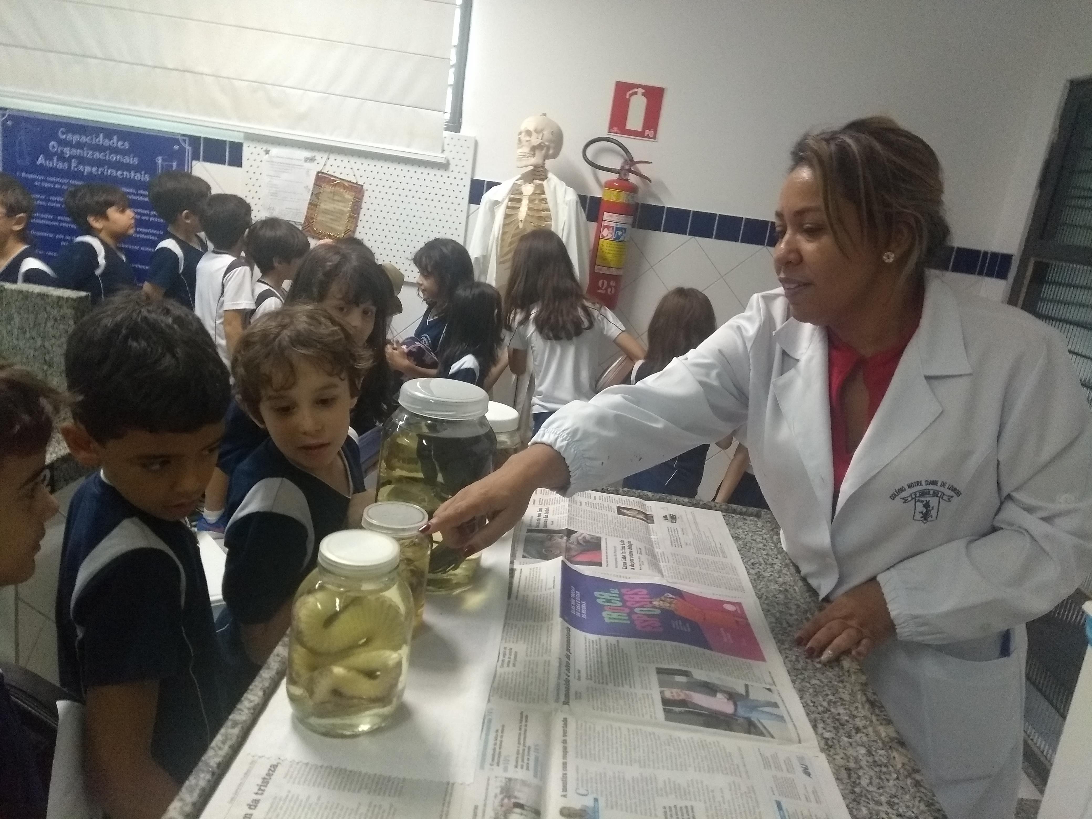 Aula prática sobre Animais com o 2º Ano