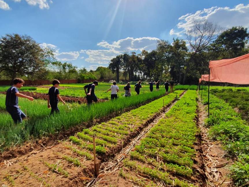 Projeto Agricultura Orgânica com os 6º Anos