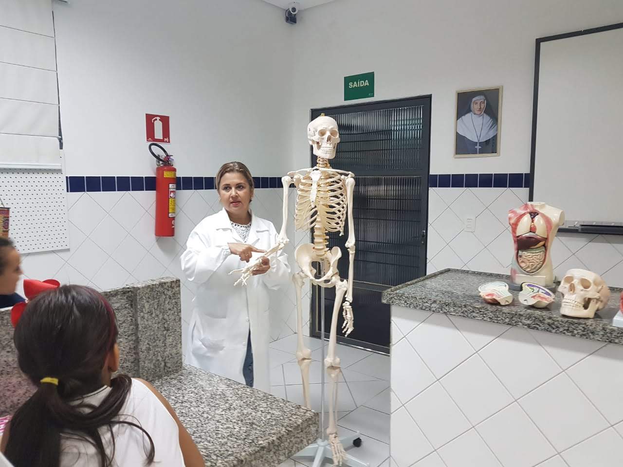 Explorando as partes do corpo humano