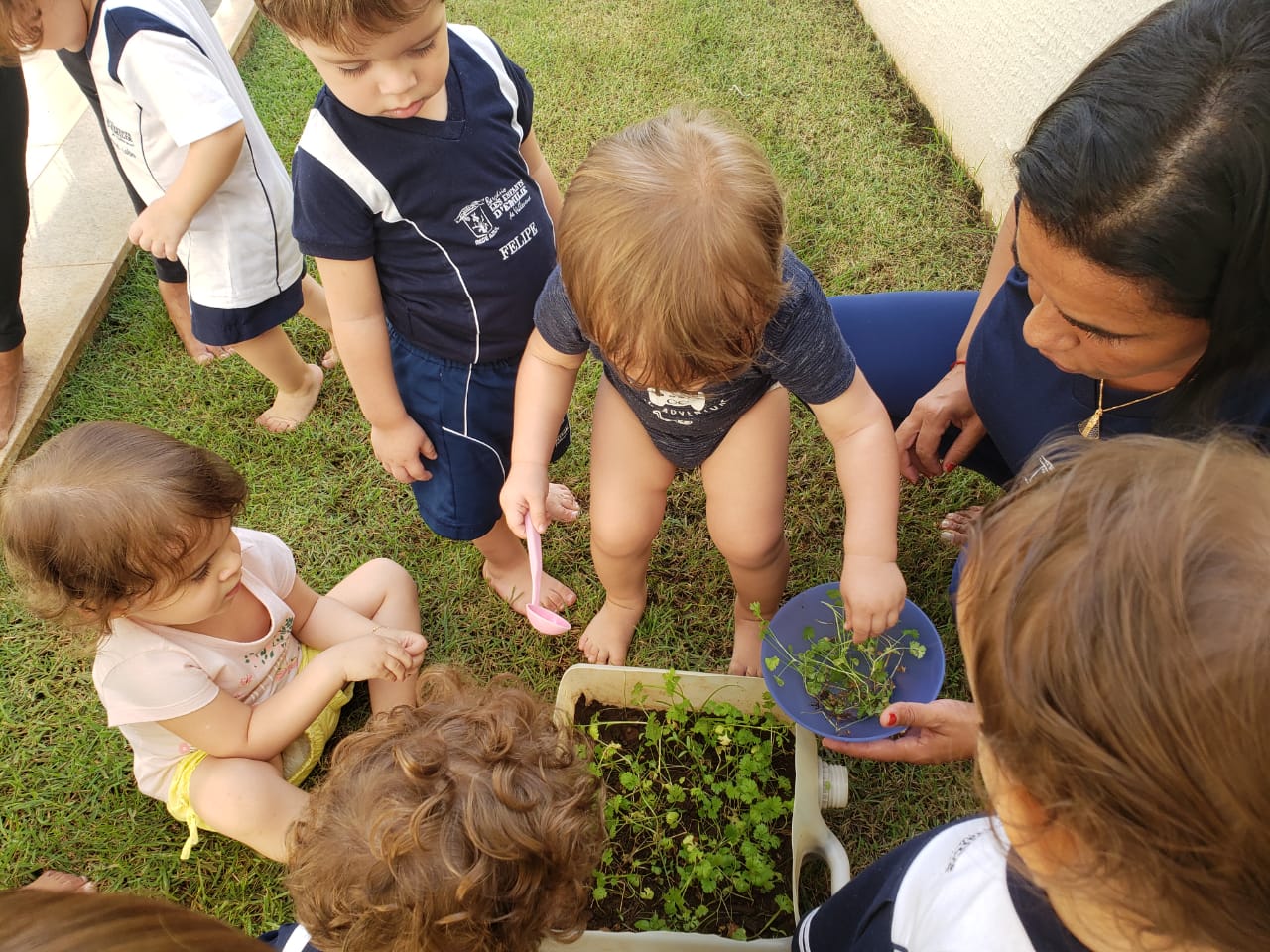 Cultivando alimentos no Berçário