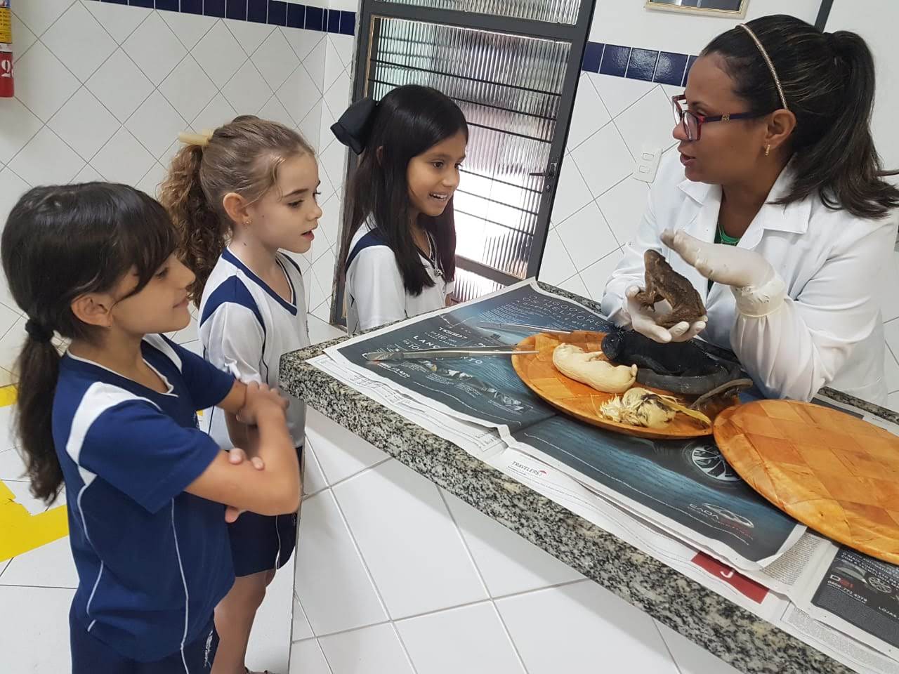 Estudando sobre Animais Vertebrados no laboratório