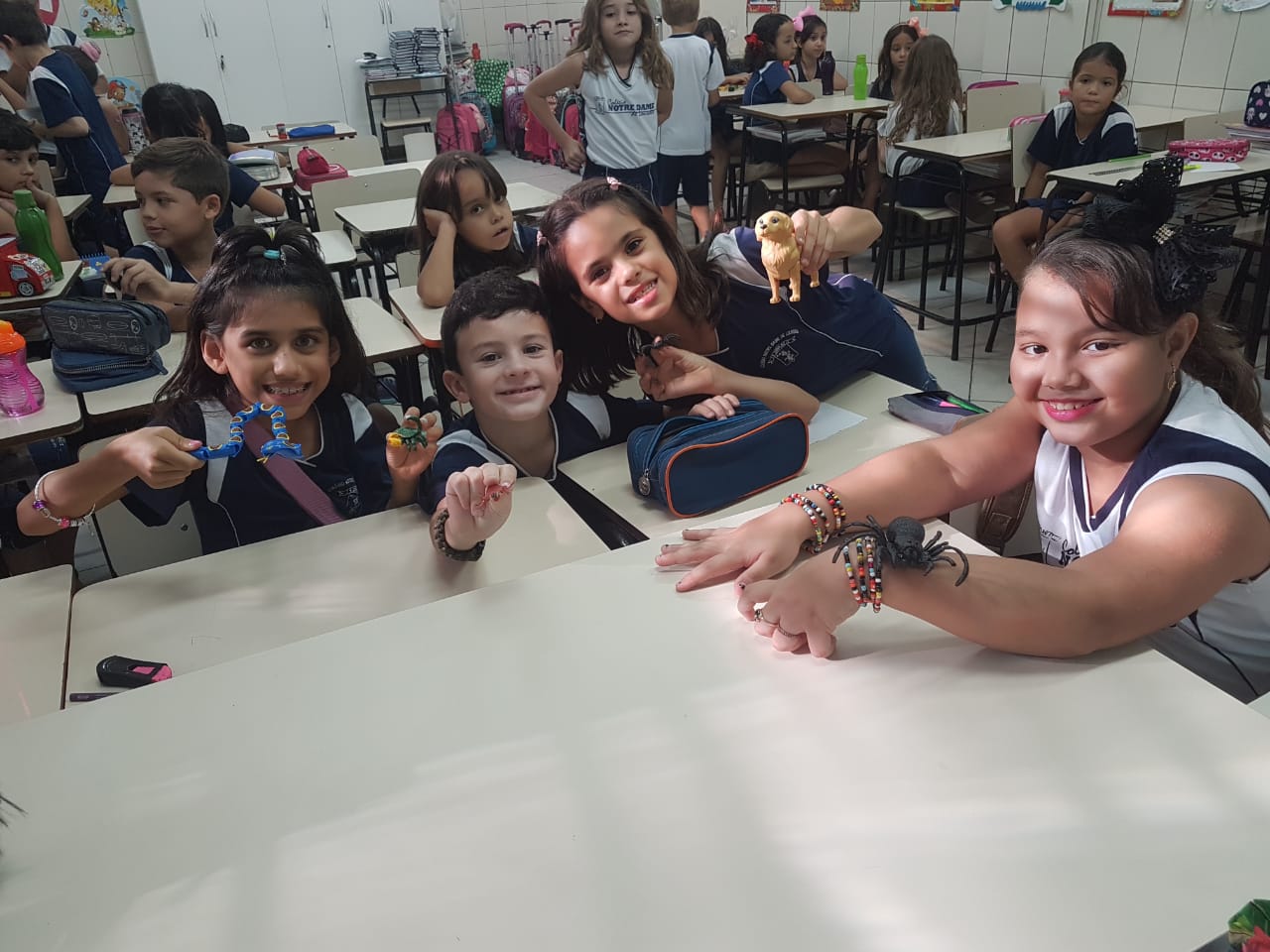 Aula sobre animais vertebrados e invertebrados na Sala Maker