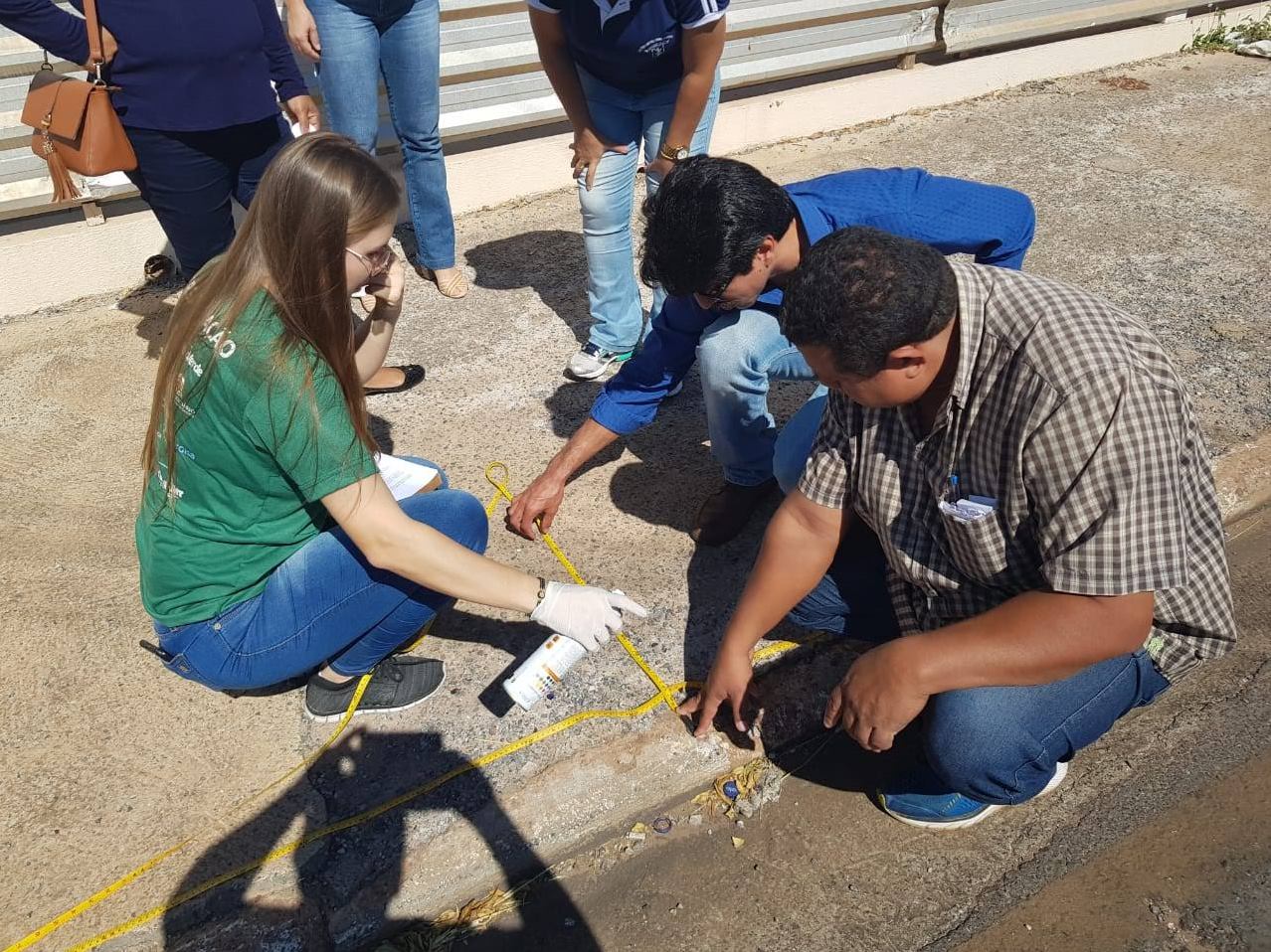 Estudantes plantarão 125 mudas de árvores no bairro Cidade Alta; 500 mudas serão distribuídas