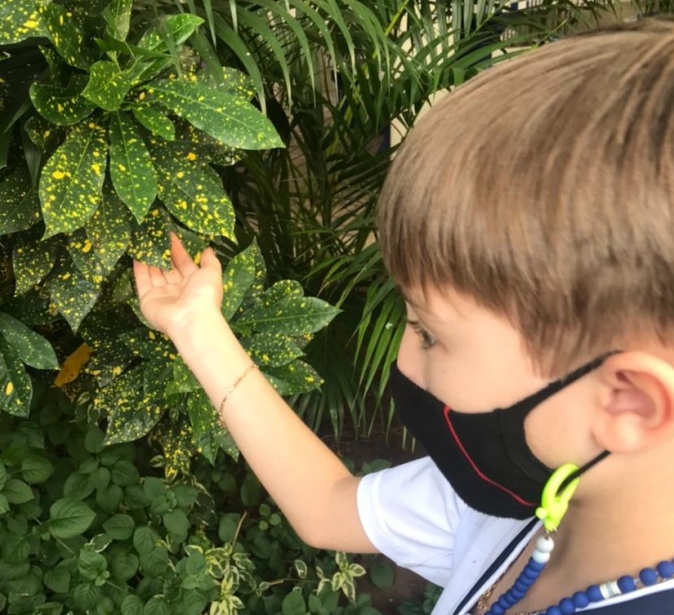 Observando as plantas - 4º ano