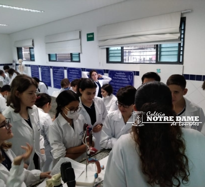 8º Ano - Aula prática no laboratório de ciências